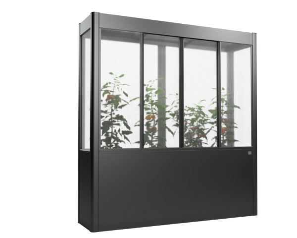 Gewächshaus Florentina Gr. 2x0,5 MAXI dunkelgrau-metallic - bowi.ch