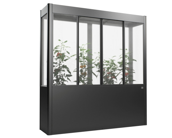 Gewächshaus Florentina Gr. 2x0,5 MAXI dunkelgrau-metallic - bowi.ch