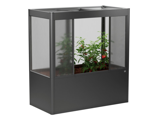 Gewächshaus Florentina Gr. 2x1 MAXI dunkelgrau-metallic - bowi.ch